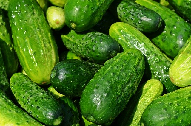 Start Eating One Cucumber a Day, See What Happens to Your Body