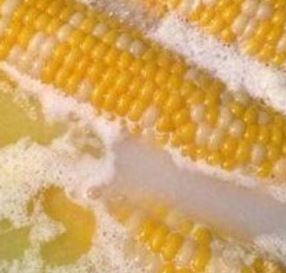 BUTTER BOILED CORN ON THE COB