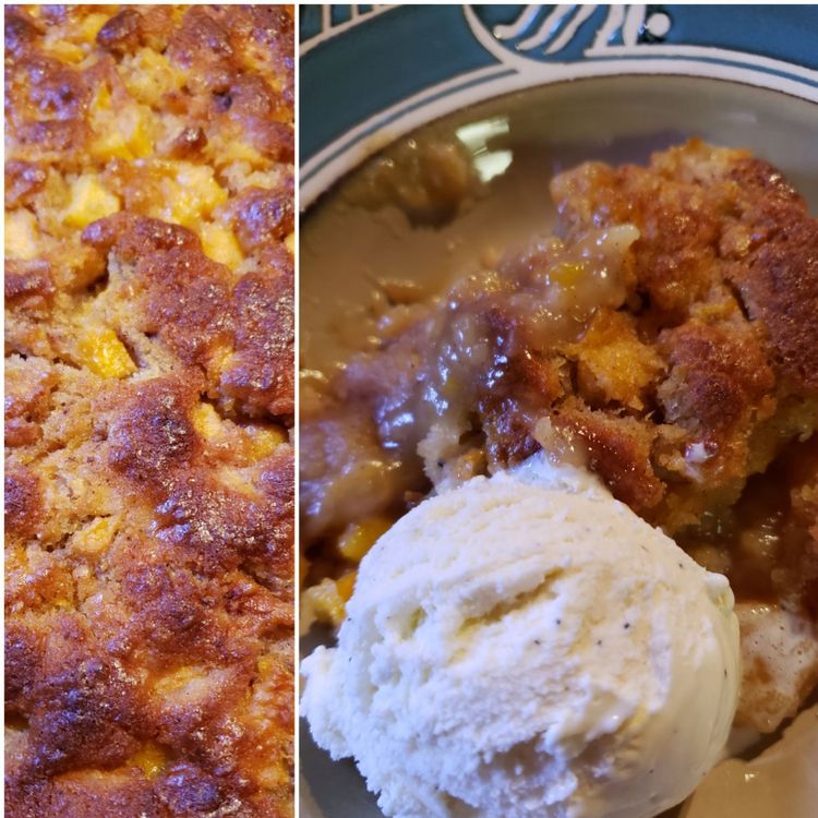 Tennessee Peach Pudding