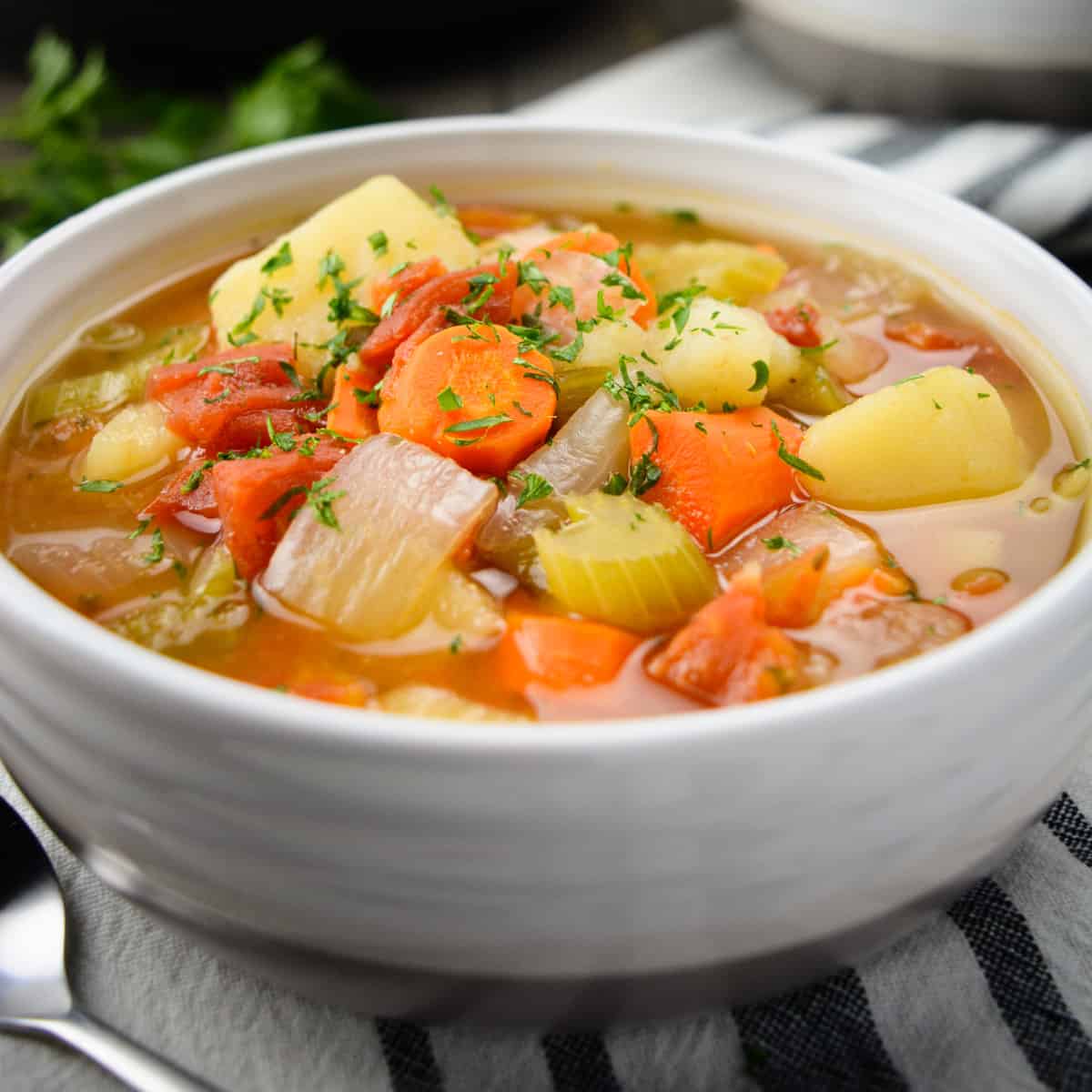 VEGETABLE BEEF NOODLE SOUP