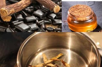 Exploring the Hidden Potential of Licorice Root: A Natural Solution for Appetite Control and Obesity