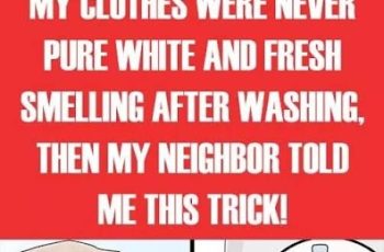 My Clothes Were Never Pure White and Fresh Smelling After Washing, Then My Neighbor Told Me This Trick!