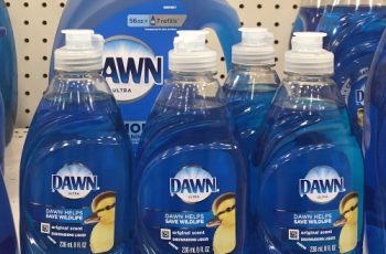 Got fleas on your pet? Use Dawn dish soap and table salt for a quick and easy fix!